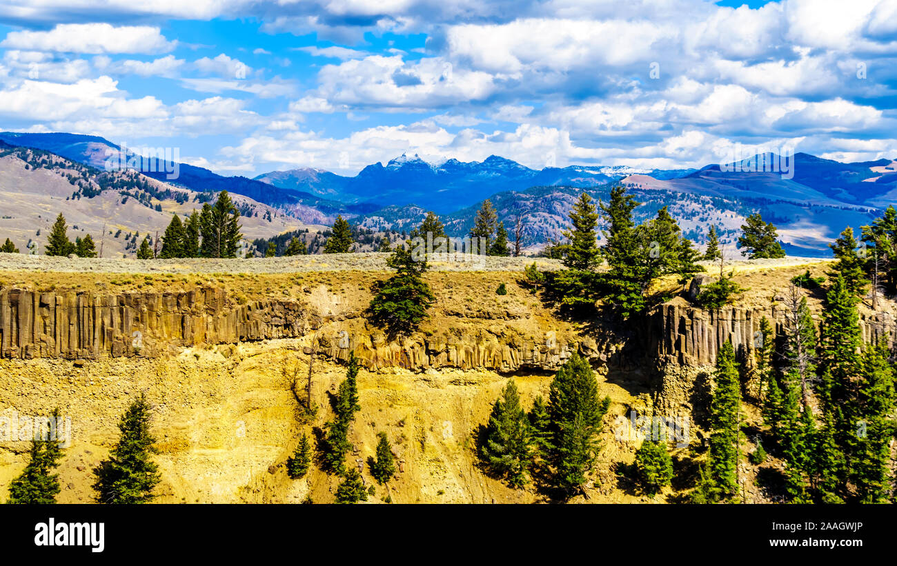 Le praterie e le gamme della montagna visto dal Grand Loop Road tra Canyon Village e Torre giunzione nel Parco Nazionale di Yellowstone, Wyoming US Foto Stock