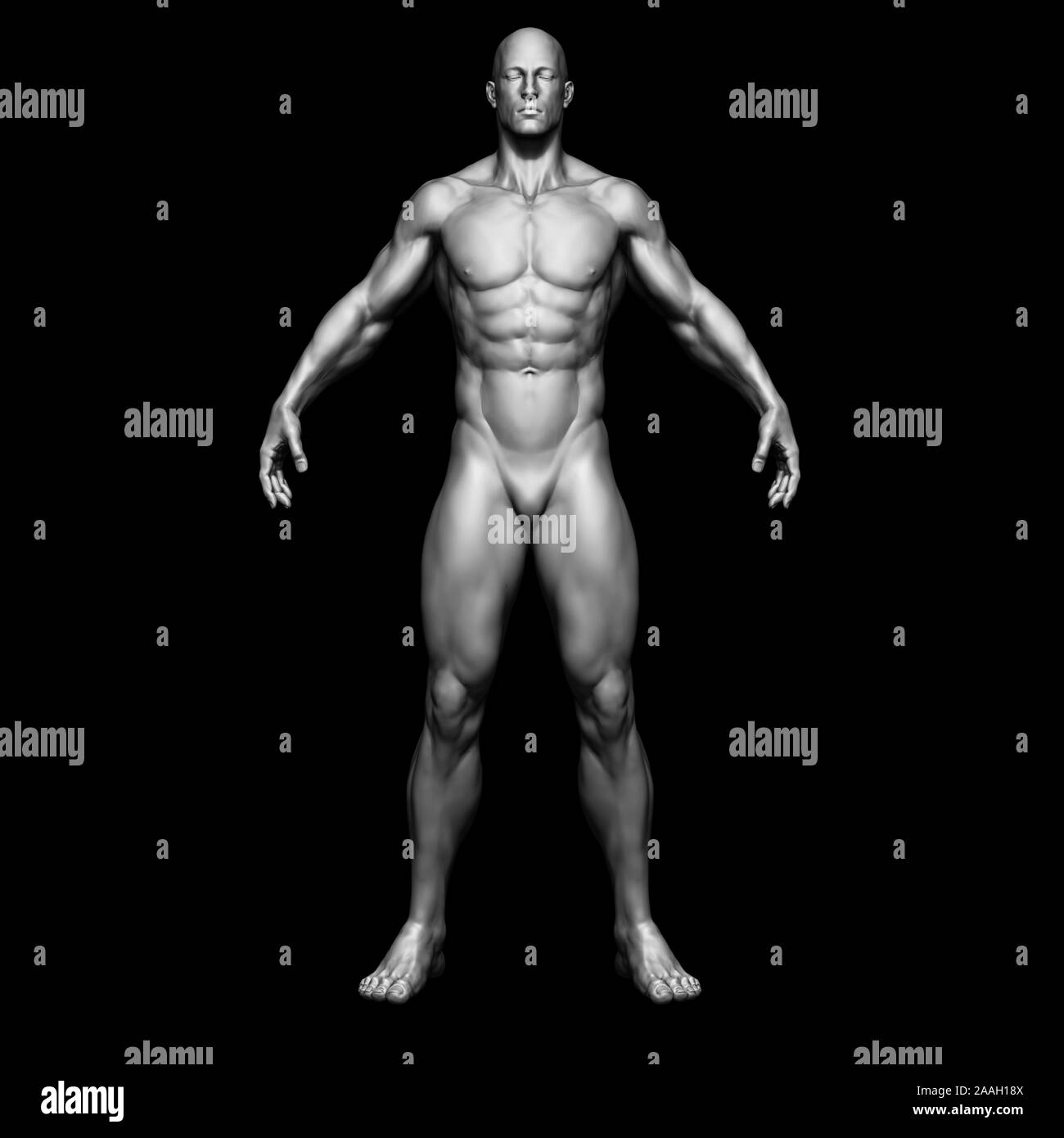 Il corpo umano - uomo corpo - modello isolato - 3D render Foto Stock