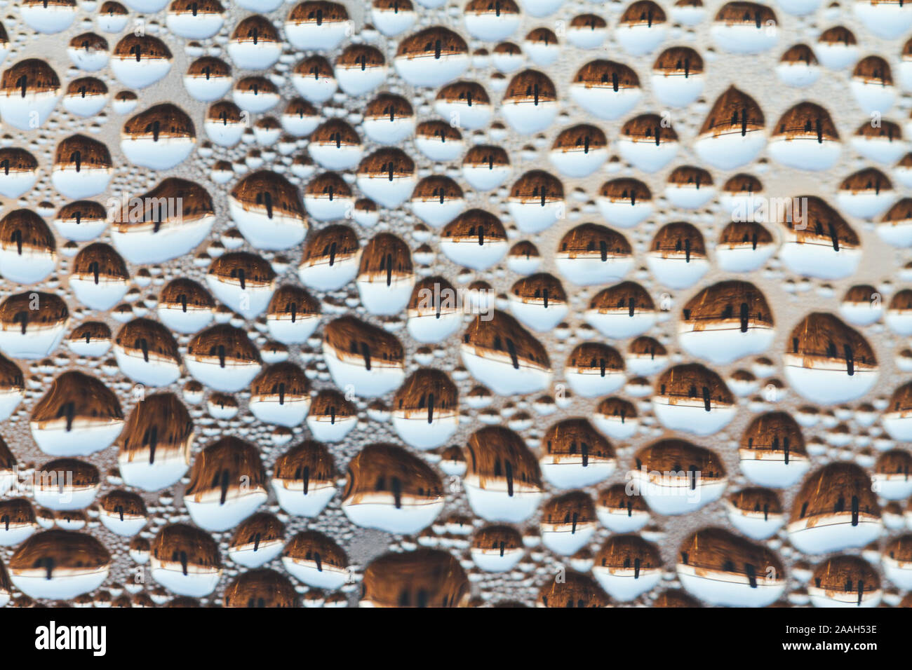 gocce trasparenti di acqua sul vetro Foto Stock