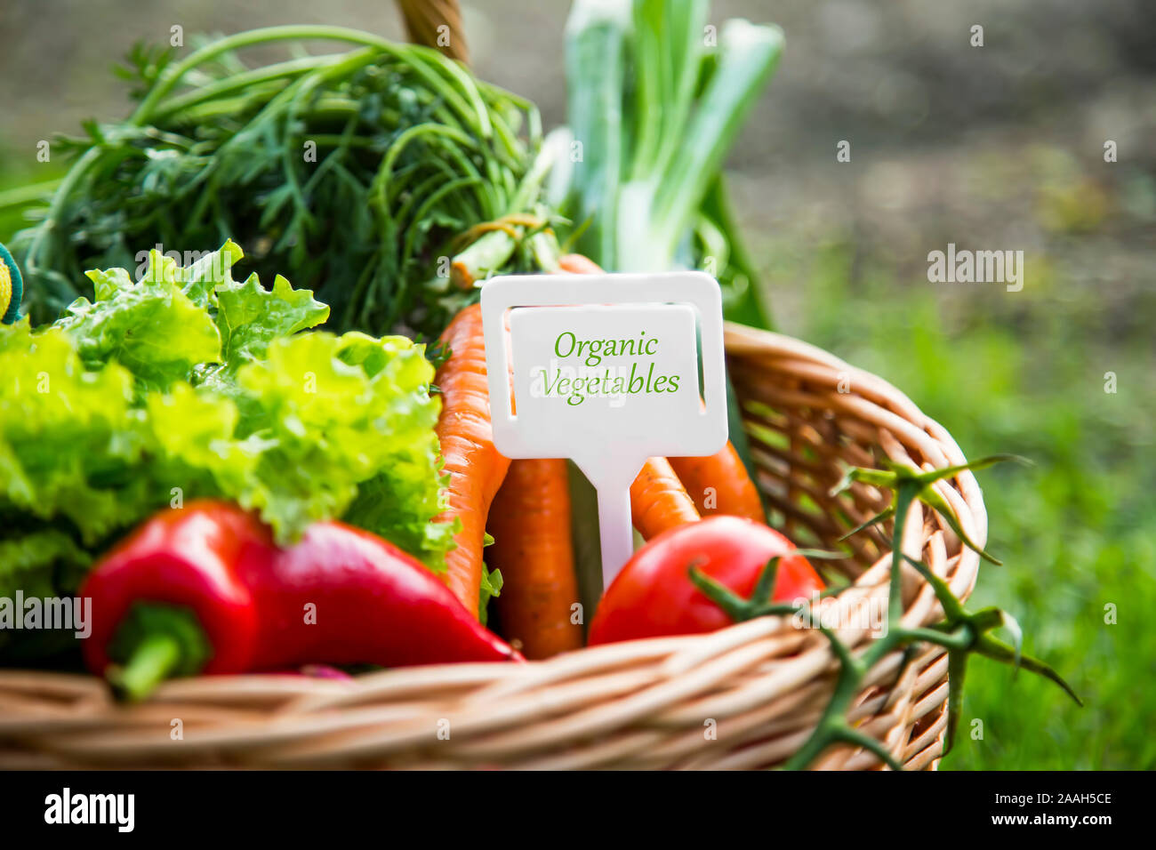 Bio verdure organiche cesto con etichetta, alimenti freschi locali nozione Foto Stock
