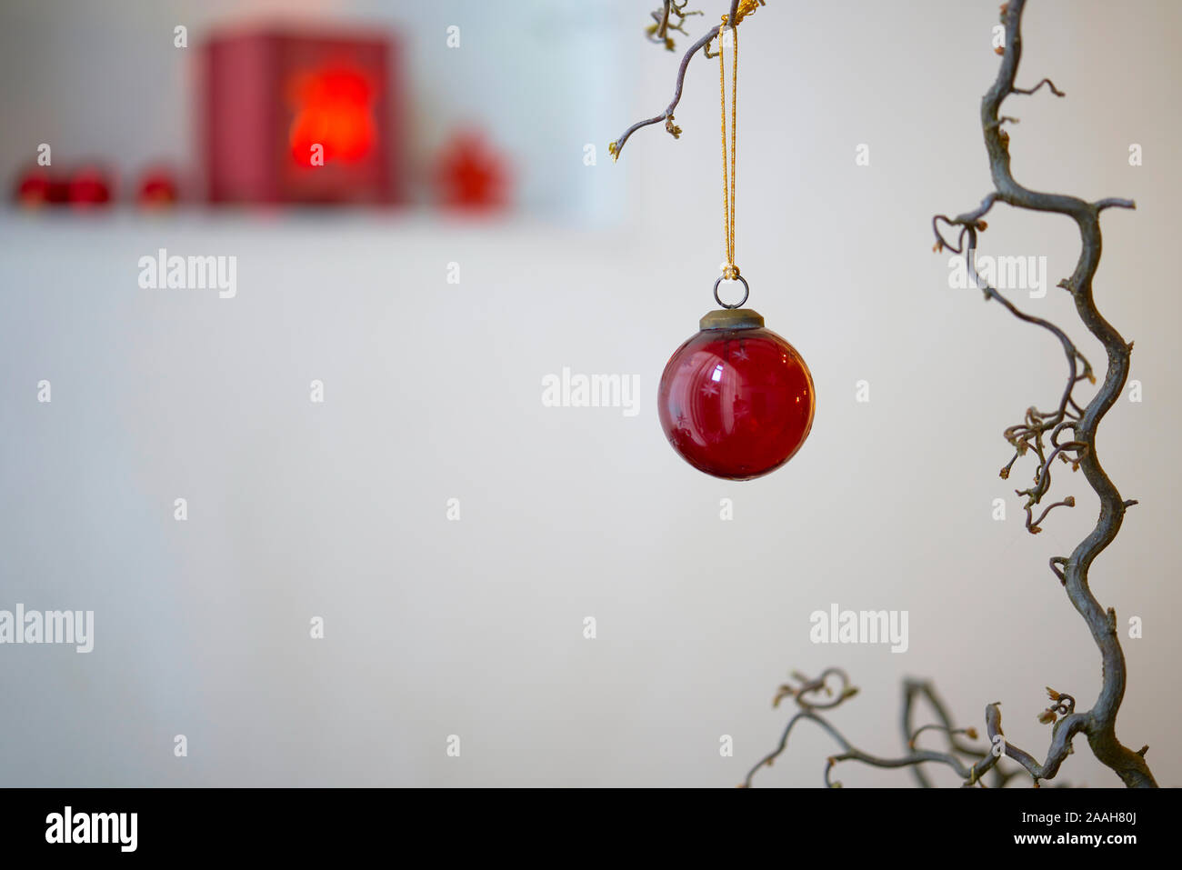 Close up di un rosso palla di Natale presso una filiale di fronte un unsharp sfondo in bianco e rosso Foto Stock