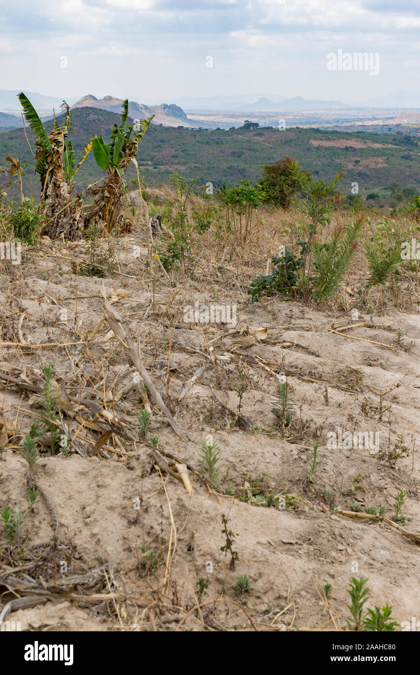 Il degrado del suolo in una fattoria di montagna nelle zone rurali del Malawi Foto Stock