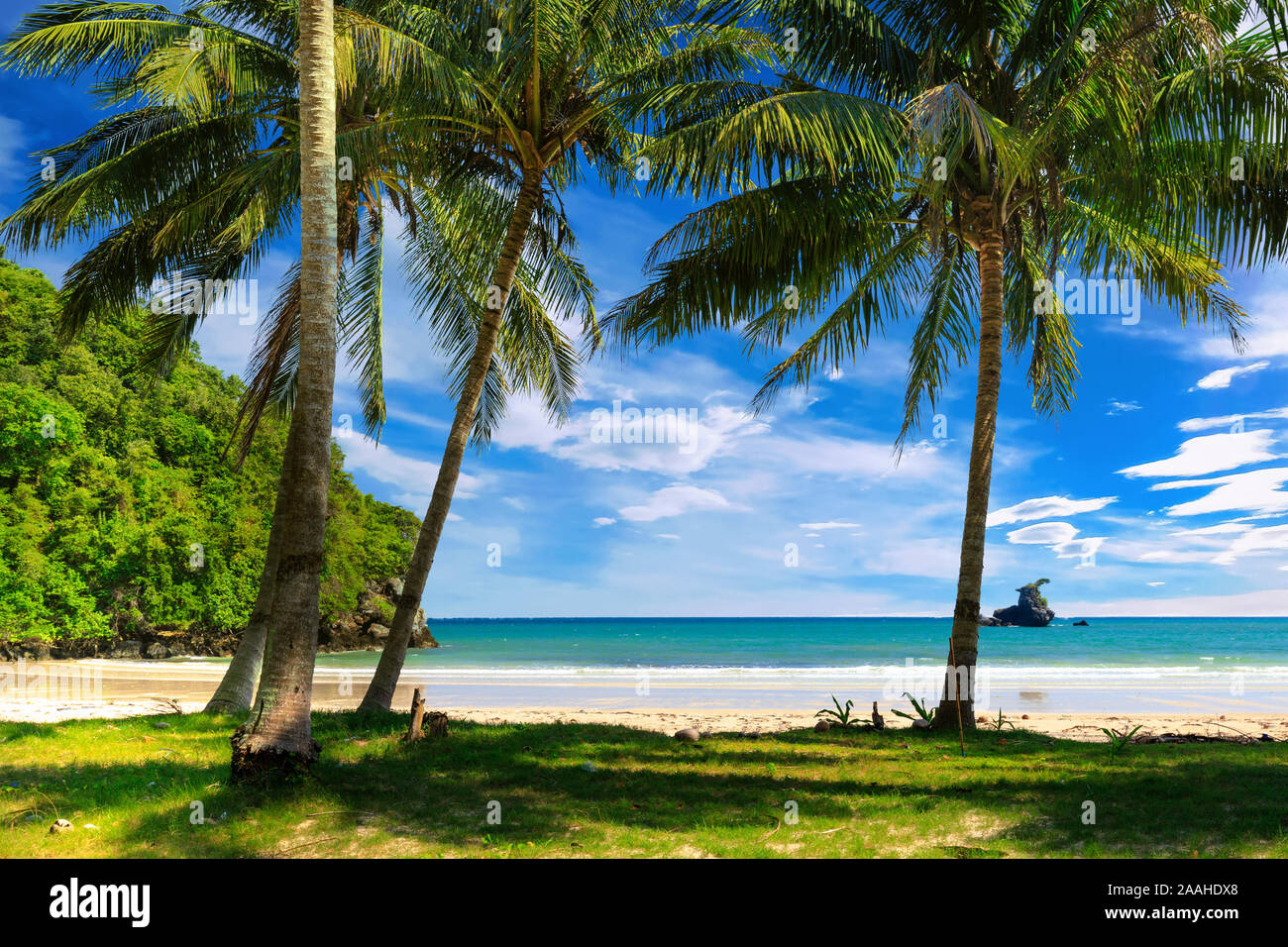Tropicale coconut tree spiaggia con prato verde e rive deserte, Thailandia Foto Stock