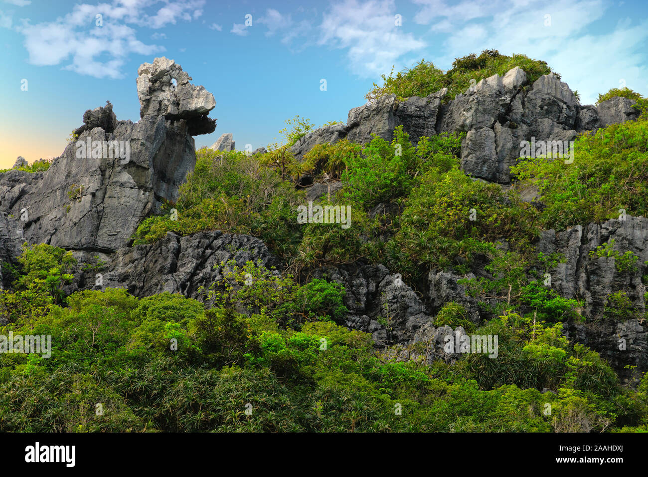 Rocce calcaree animale o creatura forma in Koh Paluai isola, Thailandia Foto Stock