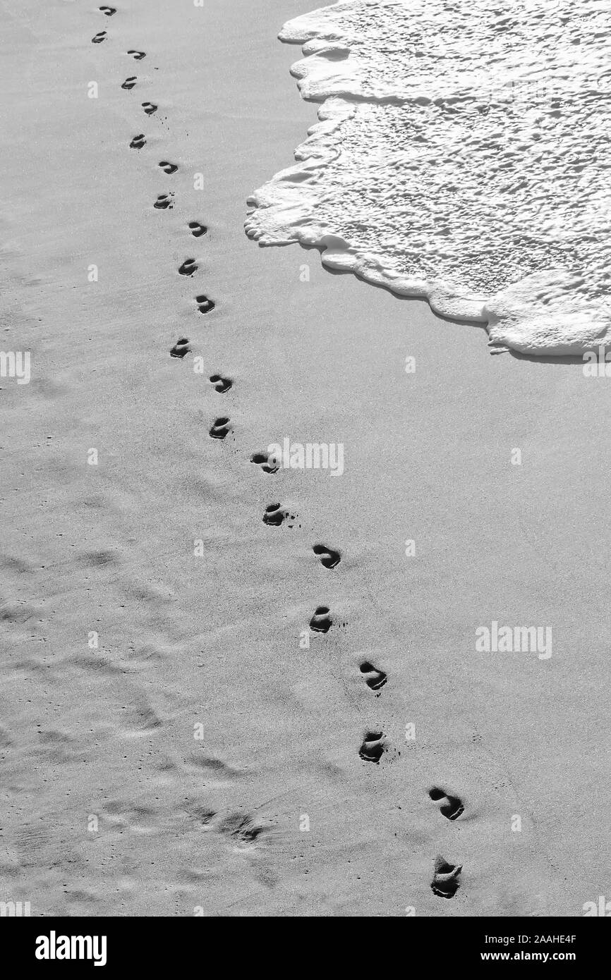 Orme sul litorale di una bellissima spiaggia tropicale in bianco e nero Foto Stock