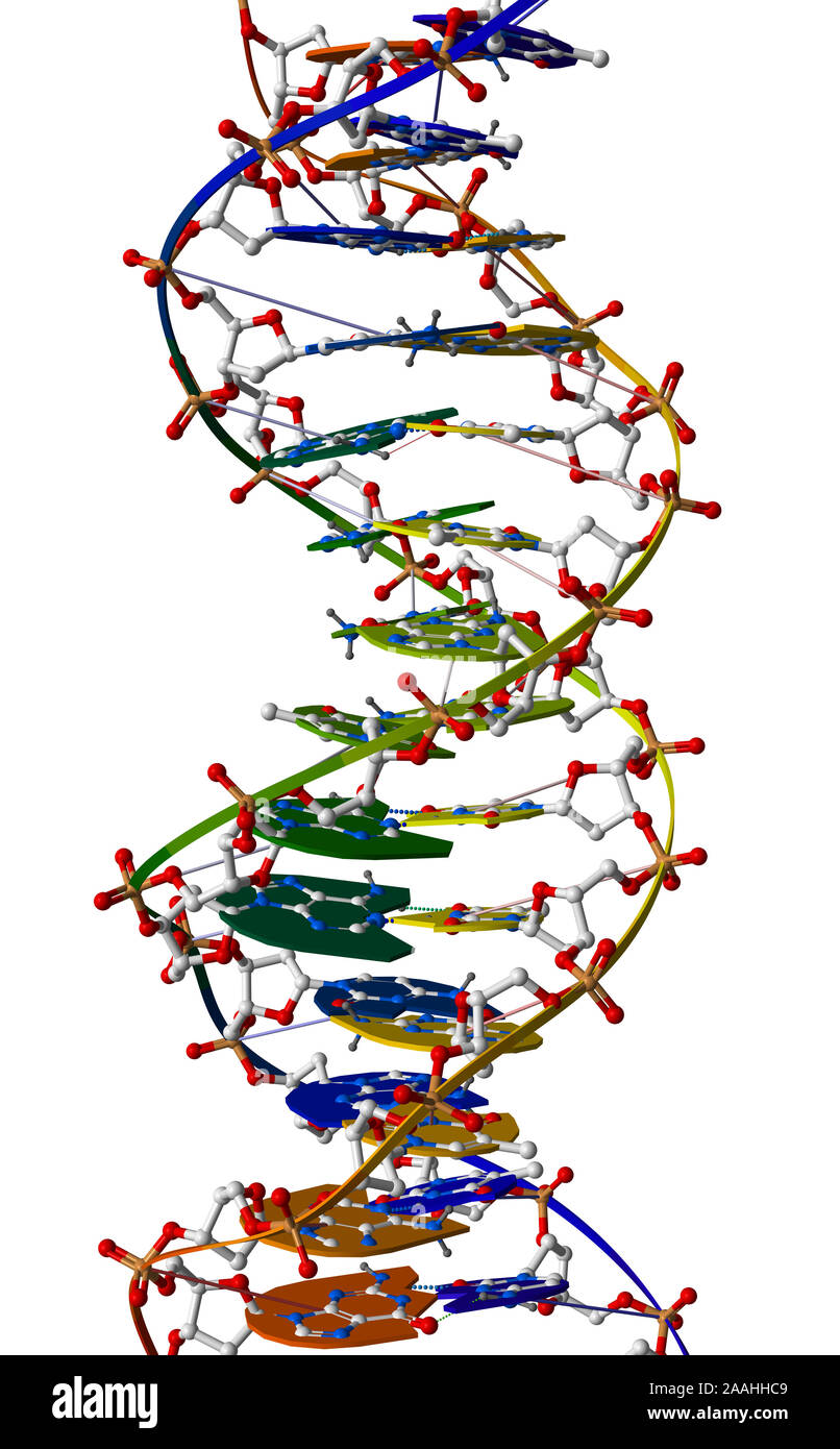 Macromolecola di DNA Foto Stock