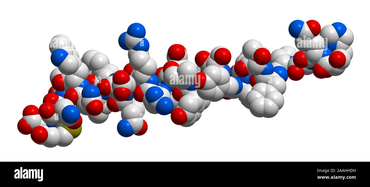 Ormone glucagone 3D struttura molecolare Foto Stock