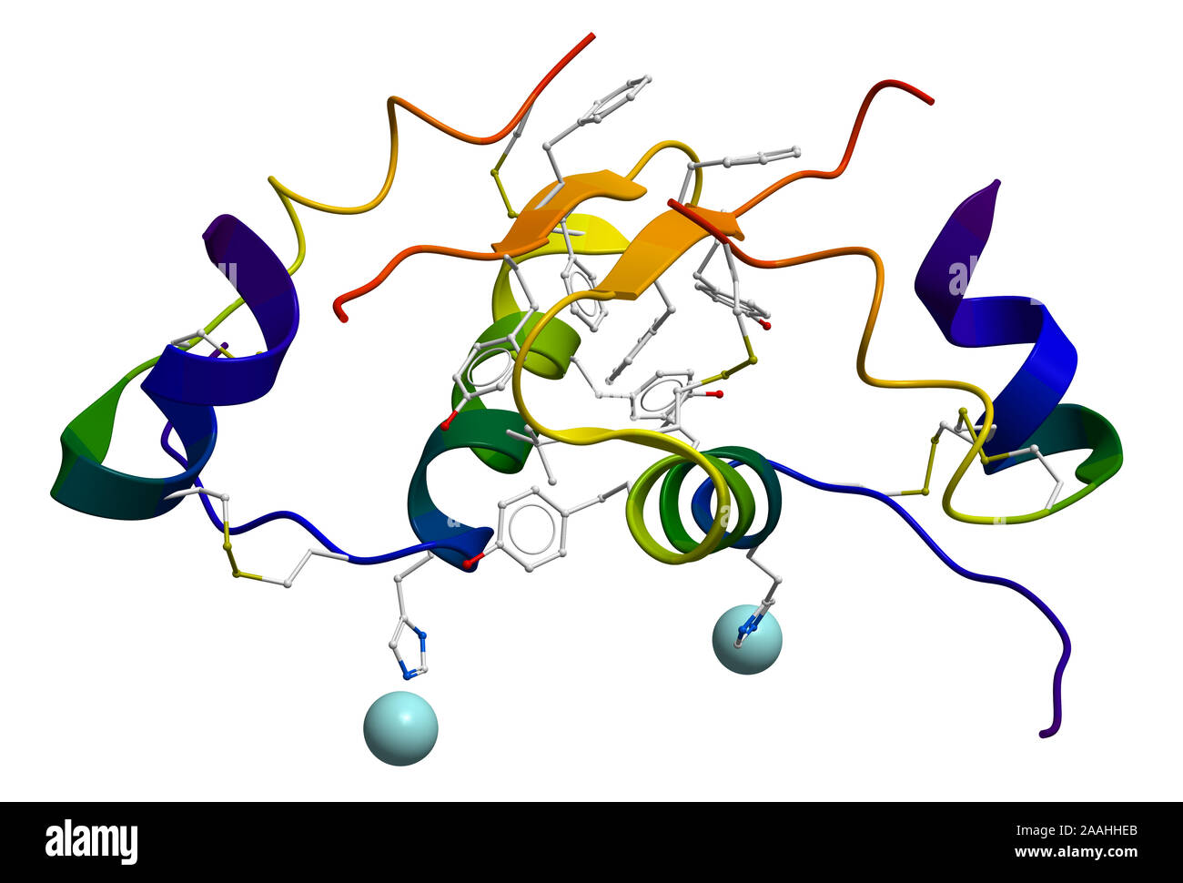 Insulina struttura molecolare Foto Stock