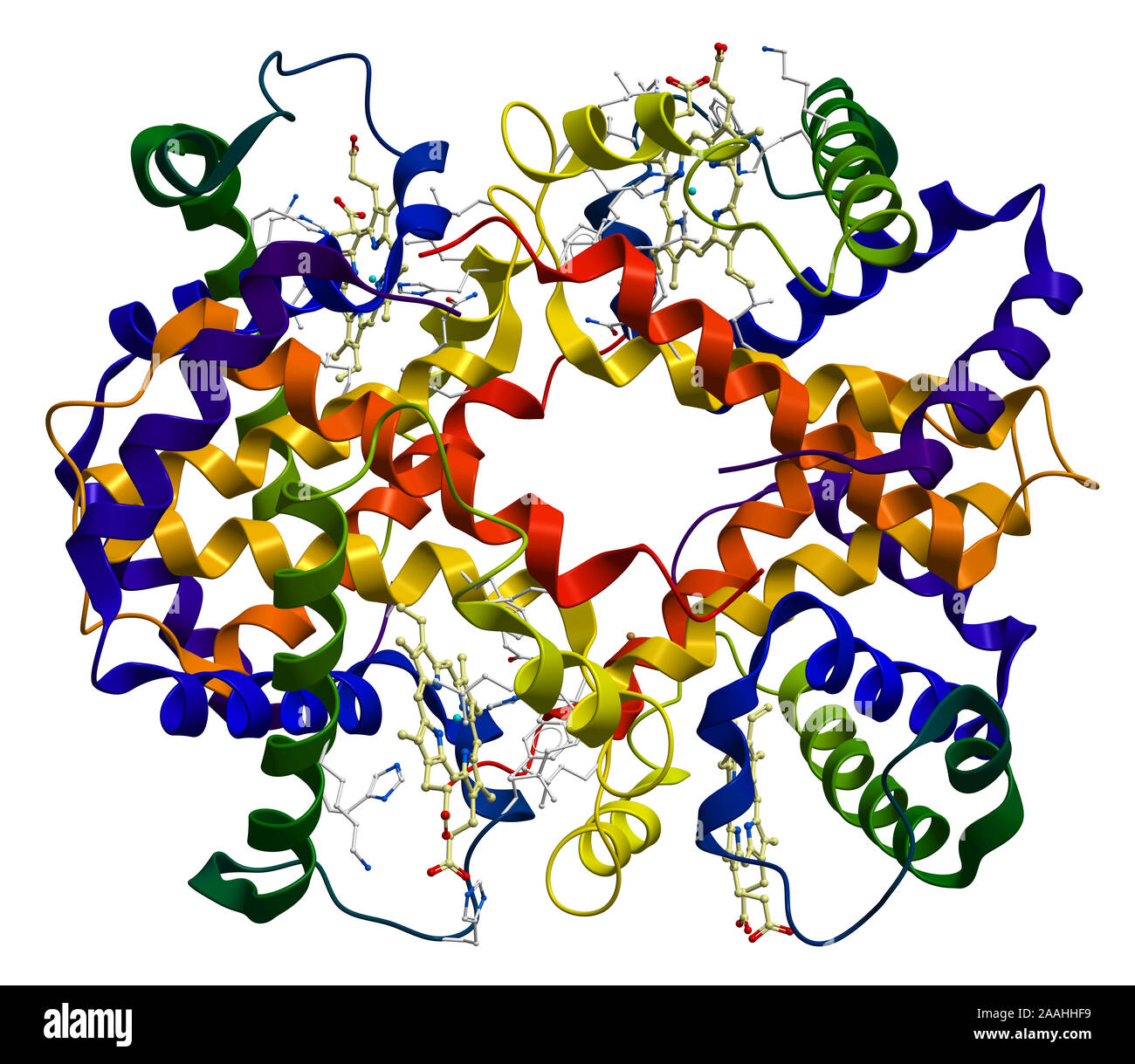Molecola di emoglobina isolato su uno sfondo bianco Foto Stock