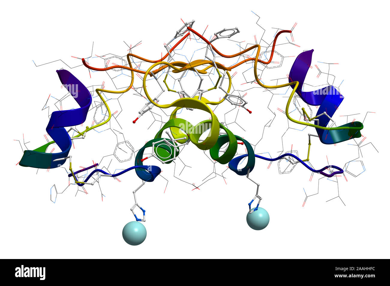 Insulina struttura molecolare Foto Stock
