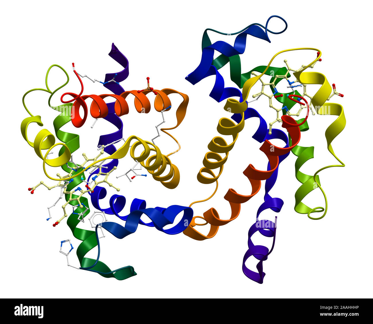 La ossiemoglobina umana struttura molecolare Foto Stock