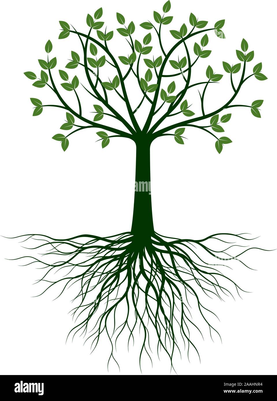 Albero con foglie e radici. Profilo di vettore illustrazione. Impianto in giardino. Illustrazione Vettoriale