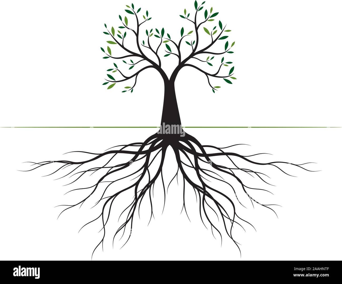 Albero con foglie e radici. Profilo di vettore illustrazione. Impianto in giardino. Illustrazione Vettoriale