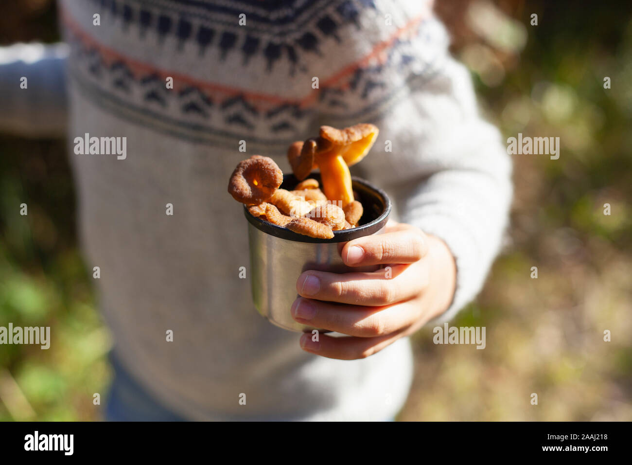 Ragazzo con tazza di funghi selvatici in foresta, craterellus tubaeformis Foto Stock
