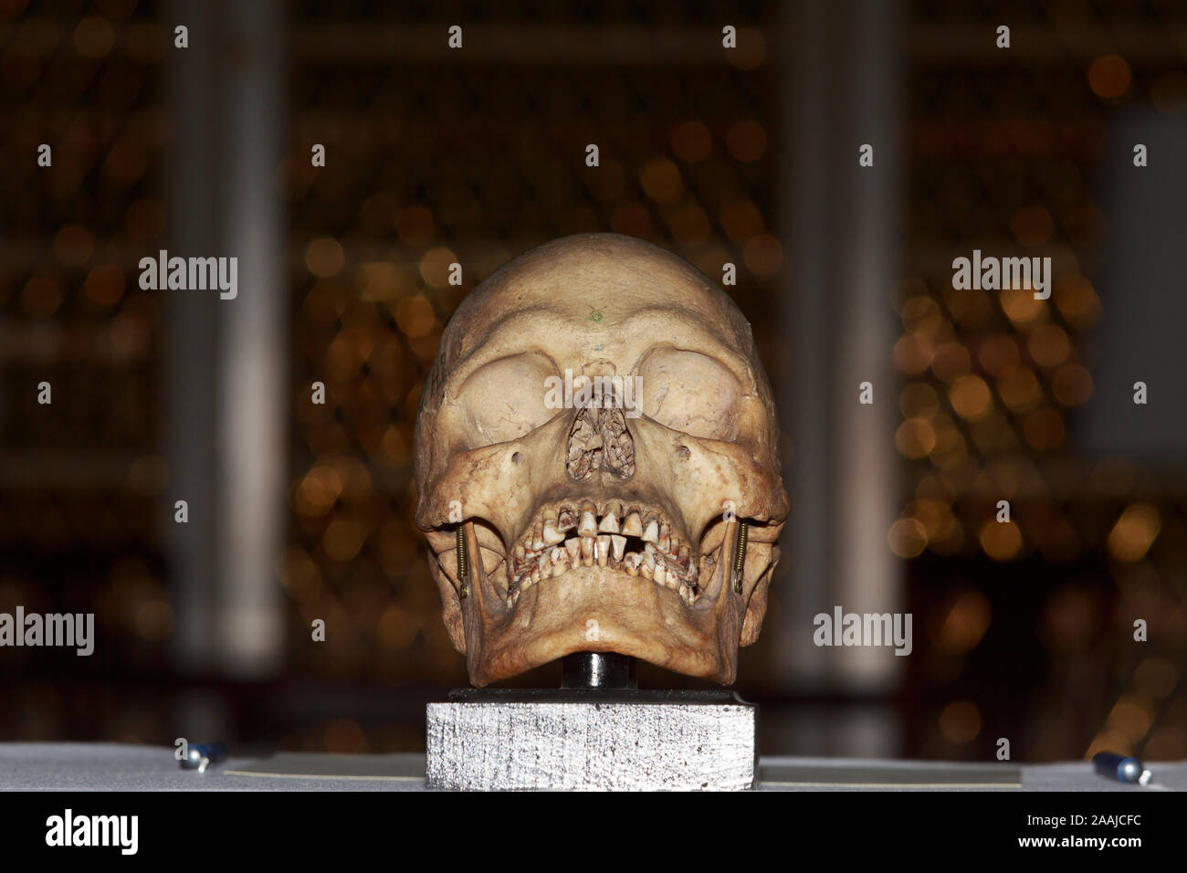 Edimburgo, Scozia. 22 novembre. 2019. Wani Uruwarige, capo dell'antica dello Sri Lanka dimora nella giungla tribù il popolo Vedda, partecipa a una cerimonia nella Università di Edimburgo di Playfair Library di Edimburgo. L'università ha restituito un insieme di nove teschi umani ha acquisito oltre cento anni fa e avevamo alloggiato nella loro collezione anatomica. Pak@ Mera/Alamy Live News Foto Stock