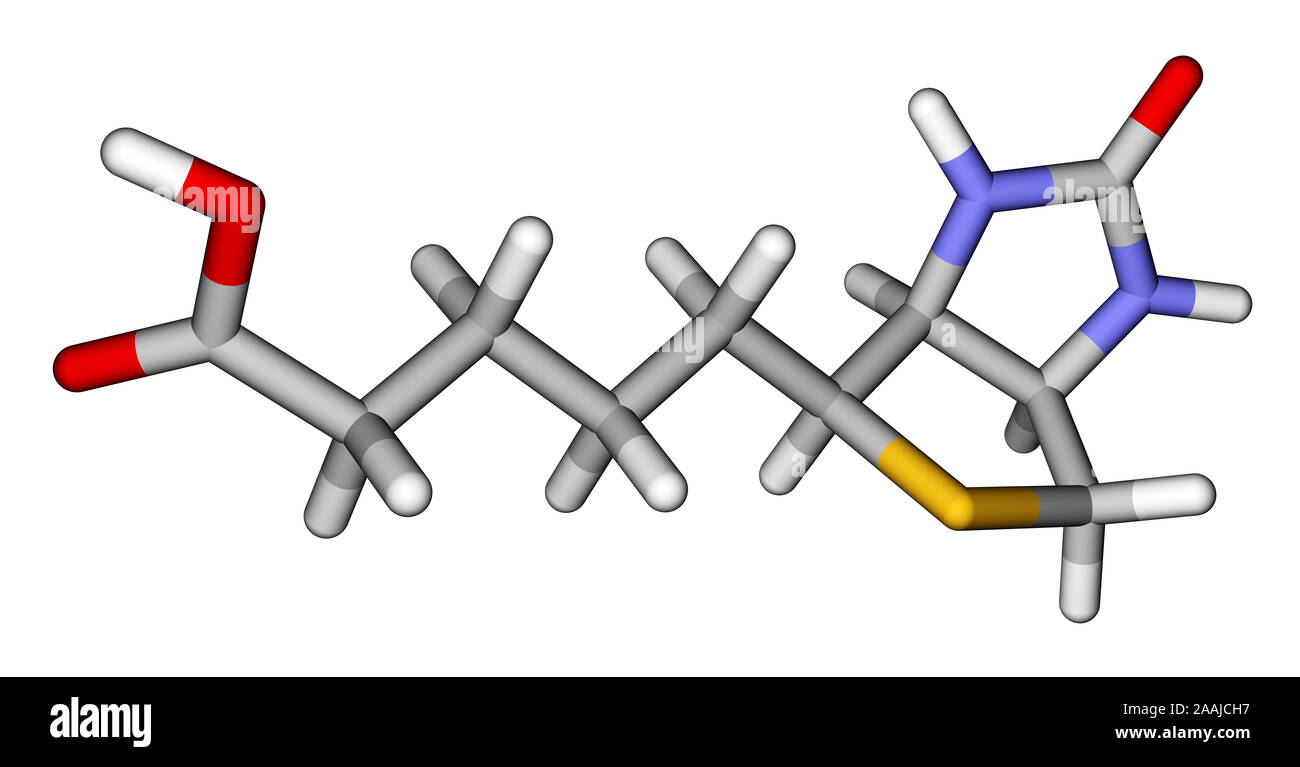 La biotina (vitamina H o B7) 3D modello molecolare Foto Stock
