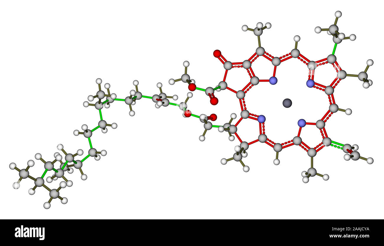 La clorofilla una struttura molecolare Foto Stock