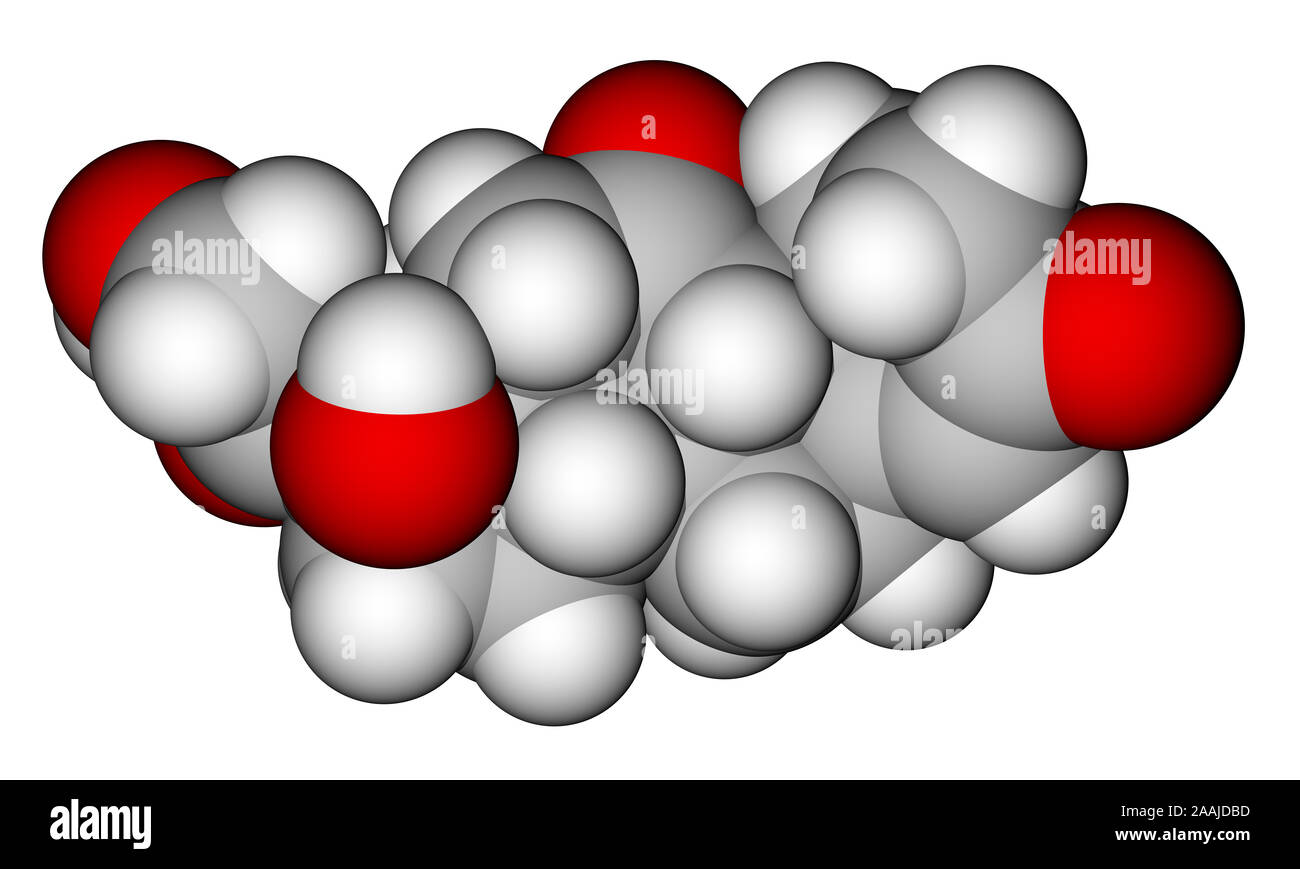 Cortisone di riempimento dello spazio modello molecolare Foto Stock