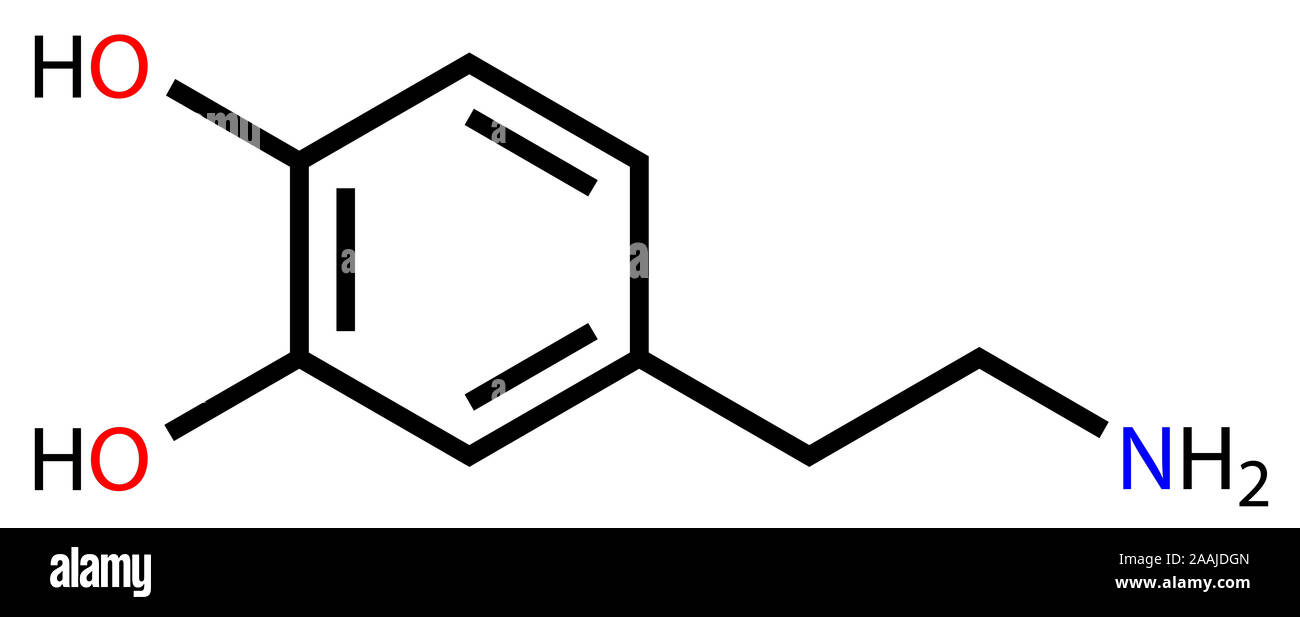 La dopamina formula strutturale Foto Stock