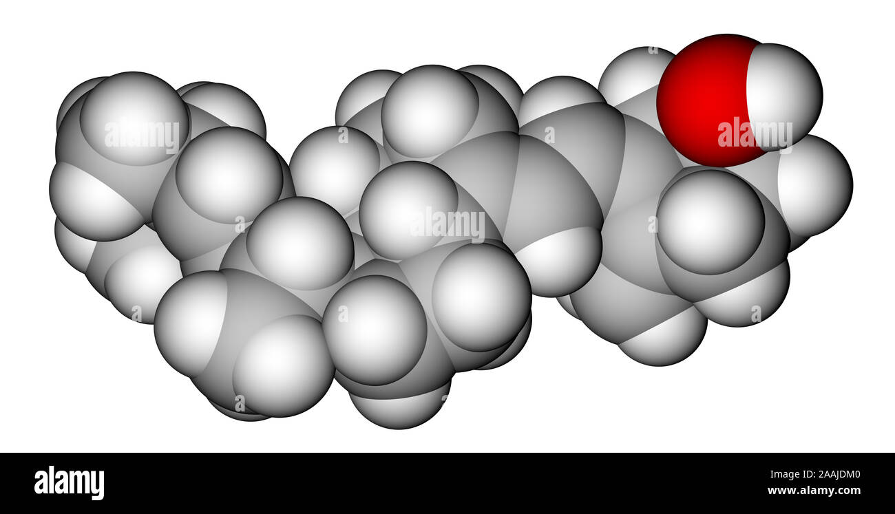 La vitamina D2 (Ergocalciferol) 3D modello molecolare Foto Stock