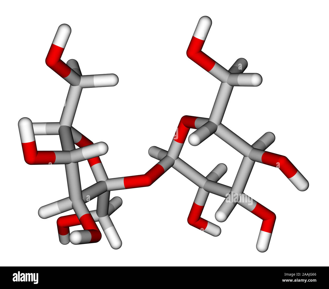 Saccarosio bastoni modello molecolare Foto Stock