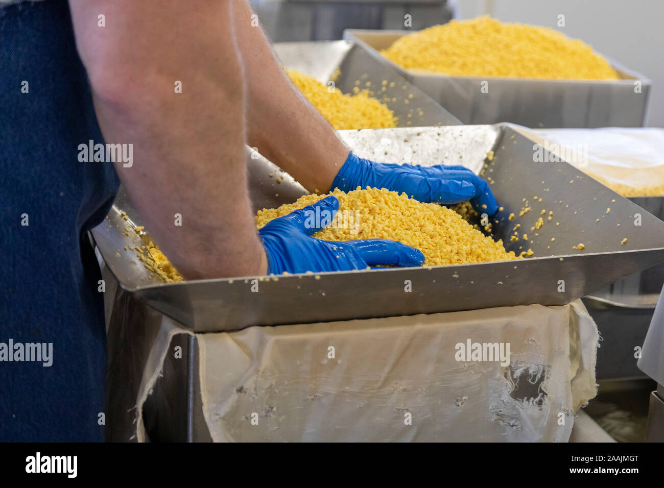 Auroraville, Wisconsin - Lavoratori fanno di formaggio Colby all Unione Star formaggio. Unione Star è uno di soltanto una manciata di piccoli caseifici in Wisconsin, d Foto Stock