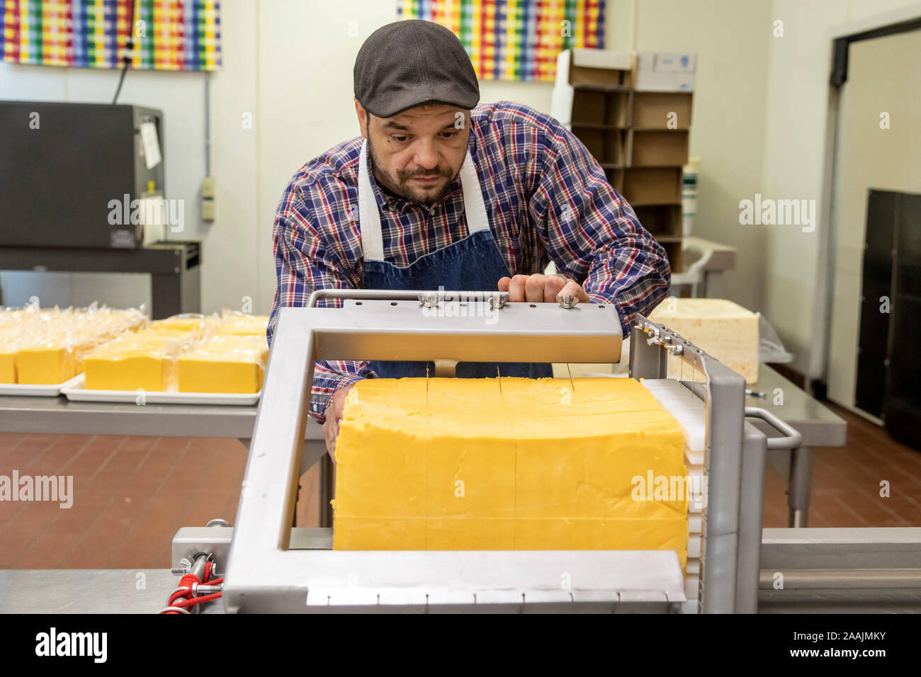 Auroraville, Wisconsin - Fred Buhrow Tagli un blocco di formaggio in unione Formaggio a stella. Unione Star è uno di soltanto una manciata di piccoli caseifici Wis Foto Stock