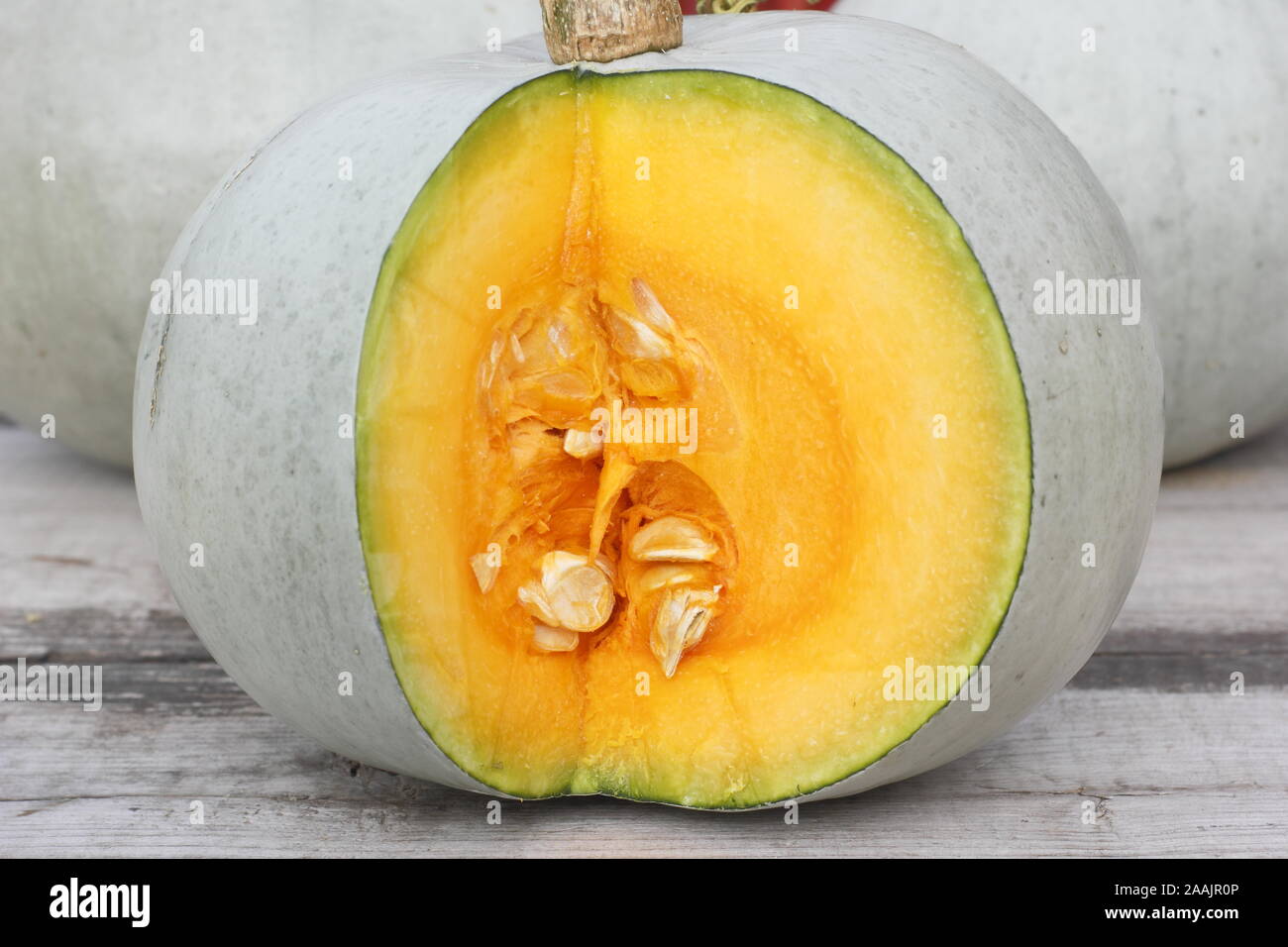 La Cucurbita maxima "Crown Prince'. Appena raccolto, blu scuoiati Crown Prince squash, a fette per rivelare la vibrante carne. Foto Stock
