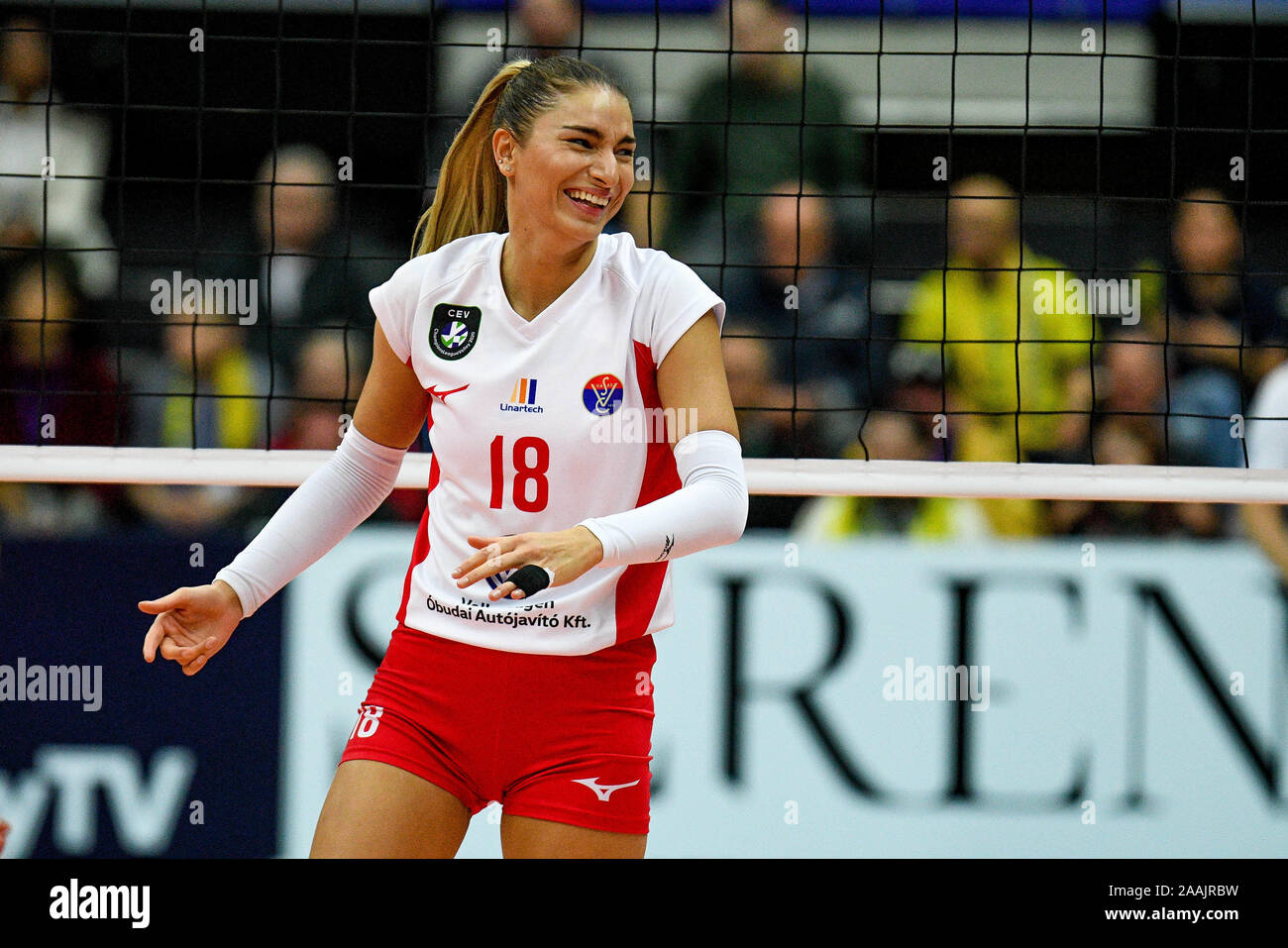 Treviso, Italia. Xix Nov, 2019. ayshan abdulazimova (Budapest) durante Imoco Carraro Conegliano vs Vasas Obuda Budapest, Pallavolo Champions League donne a Treviso, Italia, 19 novembre 2019 Credit: Indipendente Agenzia fotografica/Alamy Live News Foto Stock