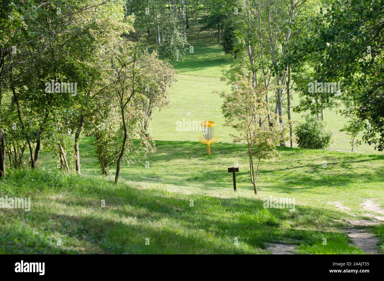 Una vista di un cesto su un corso di discgolf su una soleggiata giornata d'estate. Foto Stock