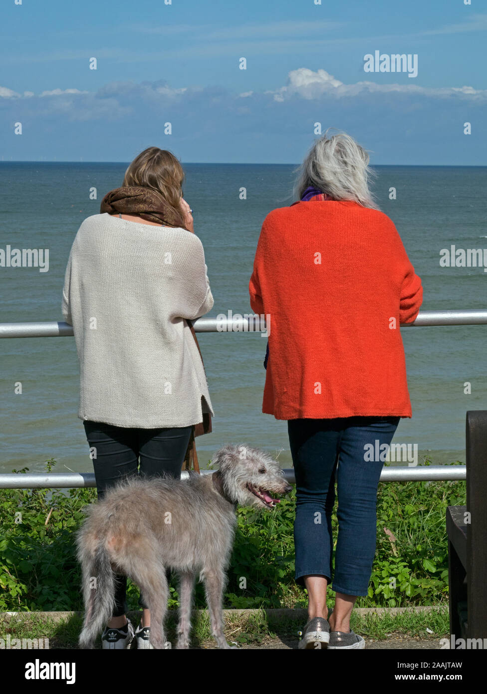 Due Signore ammirate la vista sul mare dalle scogliere lungo la North Norfolk percorso mentre il cane a camminare, Cromer, Norfolk, Inghilterra, Regno Unito Foto Stock