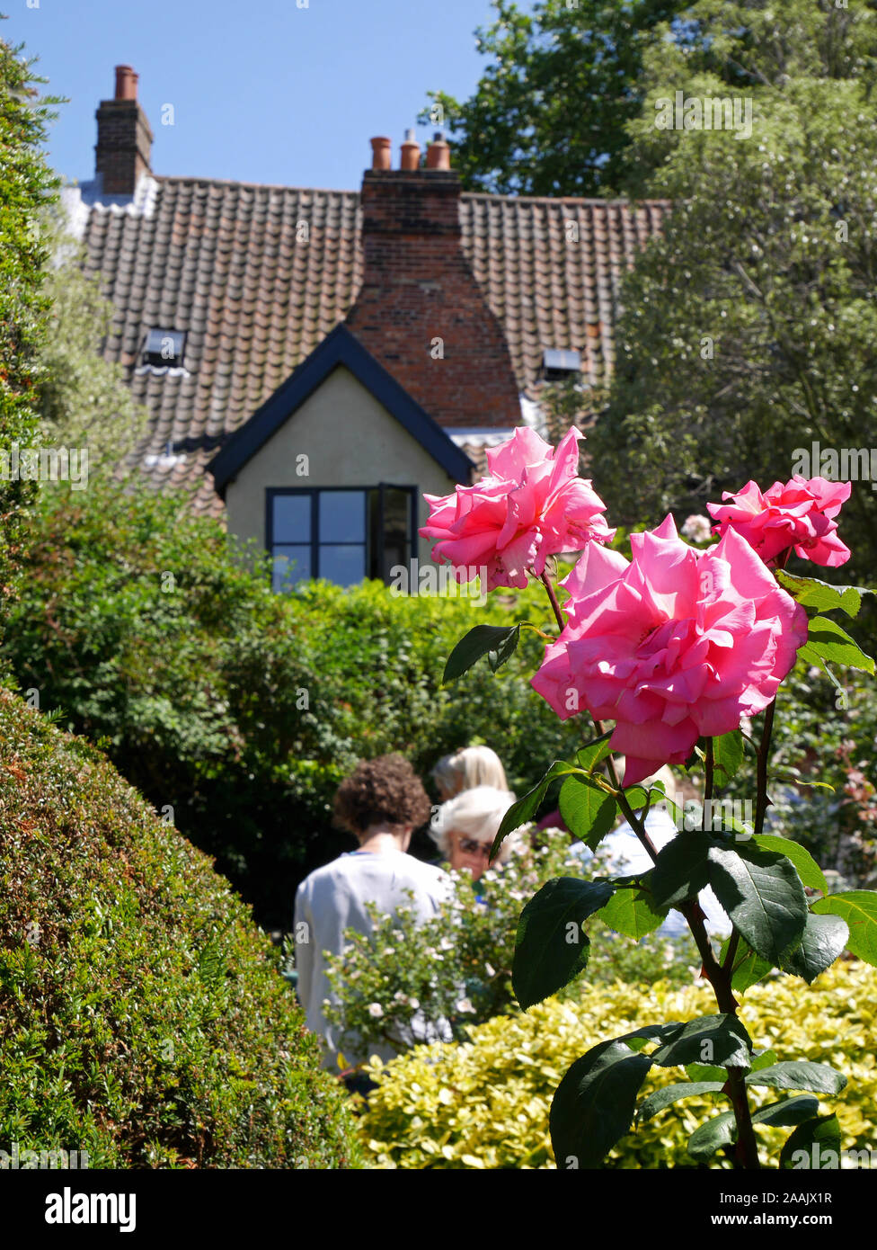 Historic City Center Cottage Gardens aperto giorno per beneficenza, Norwich, Norfolk, Inghilterra, Regno Unito Foto Stock