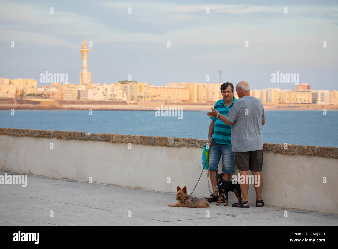 Cane locale walkers socializzare sul Paseo del Vendaval con il sole che tramonta sulla città nuova, Cadice, Andalusia, Spagna, Europa Foto Stock