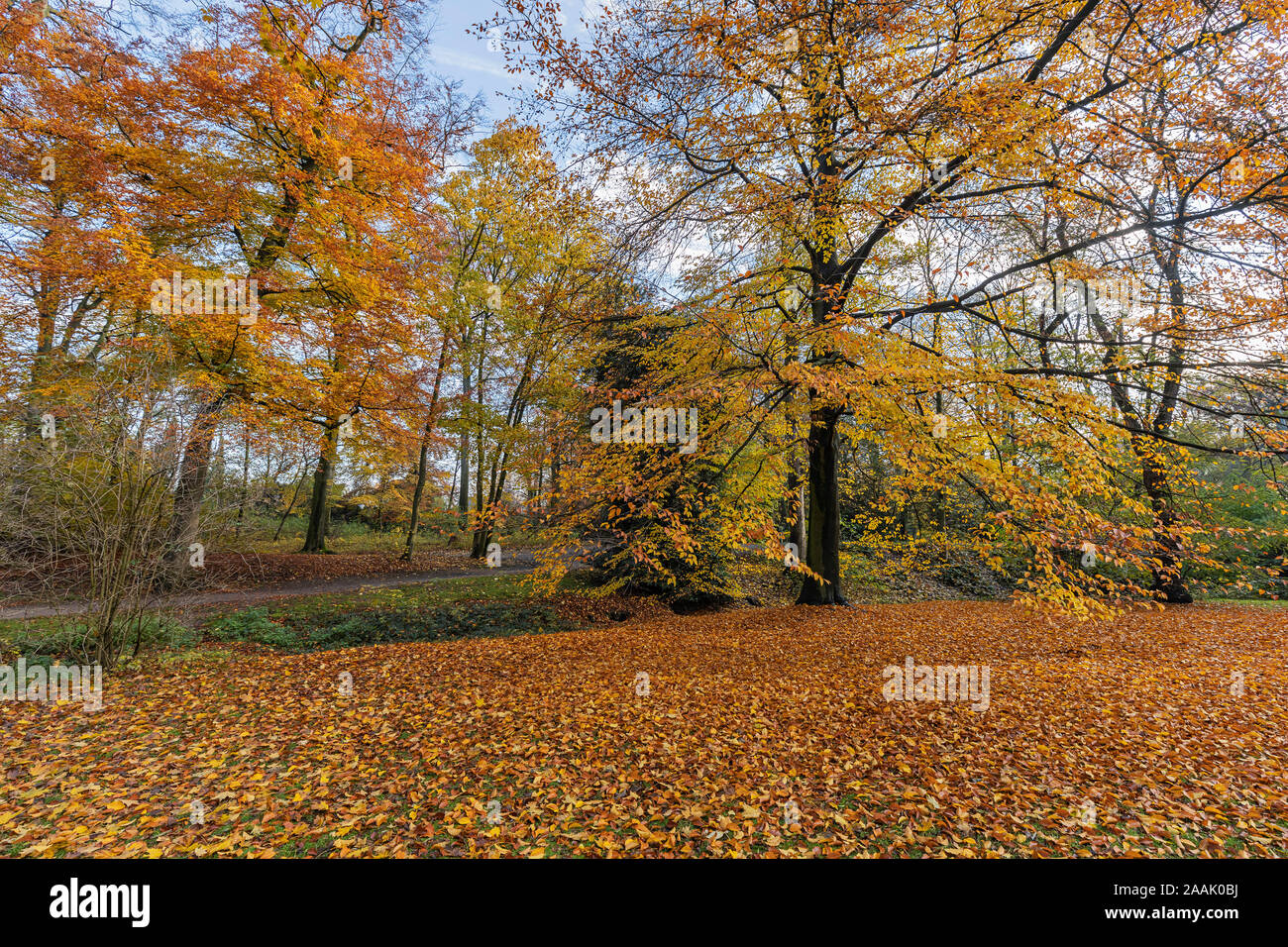Krefeld-Bockum - Vista Parco vicino casa Neuenhofen / Germania Foto Stock