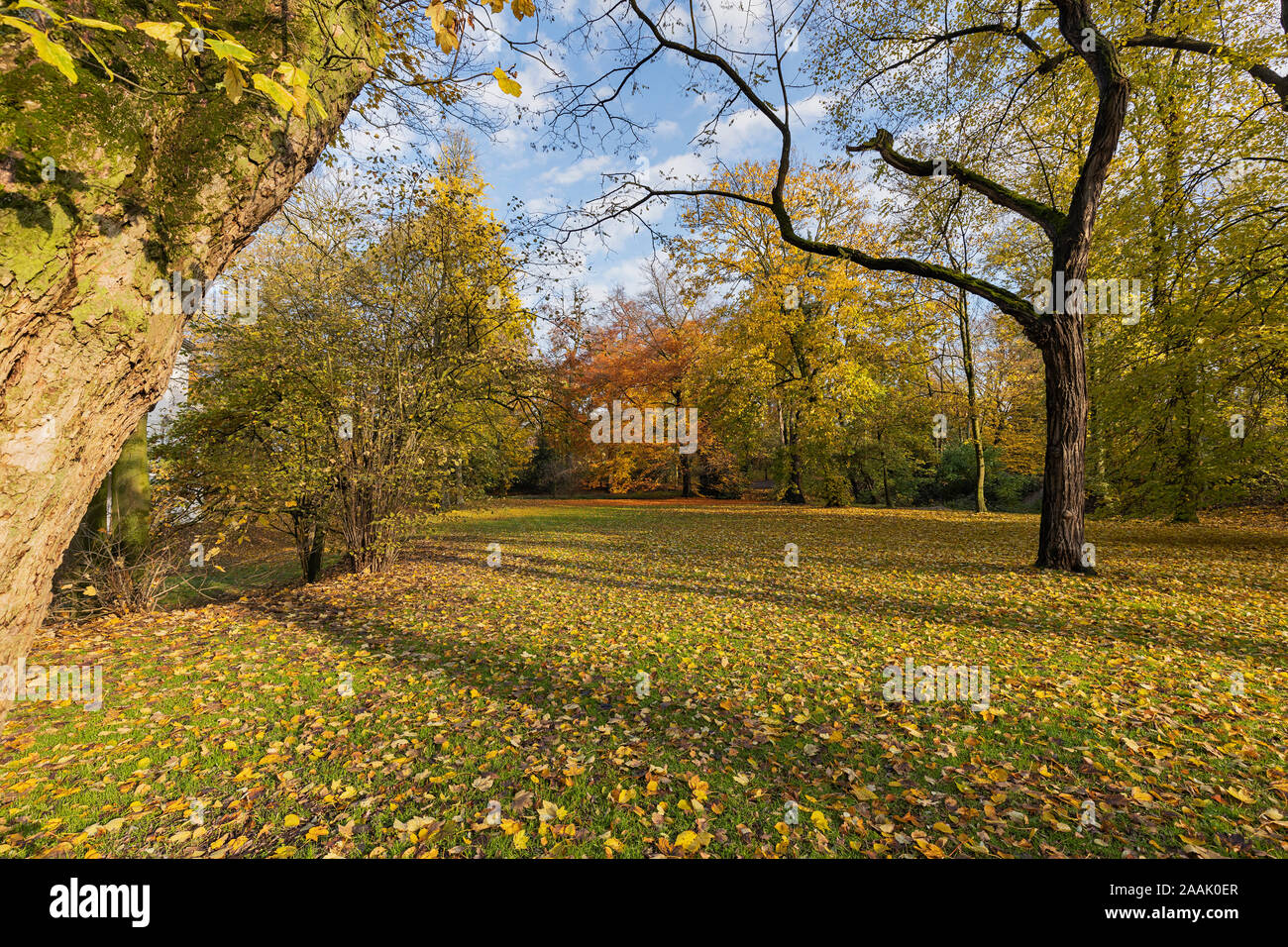 Krefeld-Bockum - Vista Parco vicino casa Neuenhofen / Germania Foto Stock
