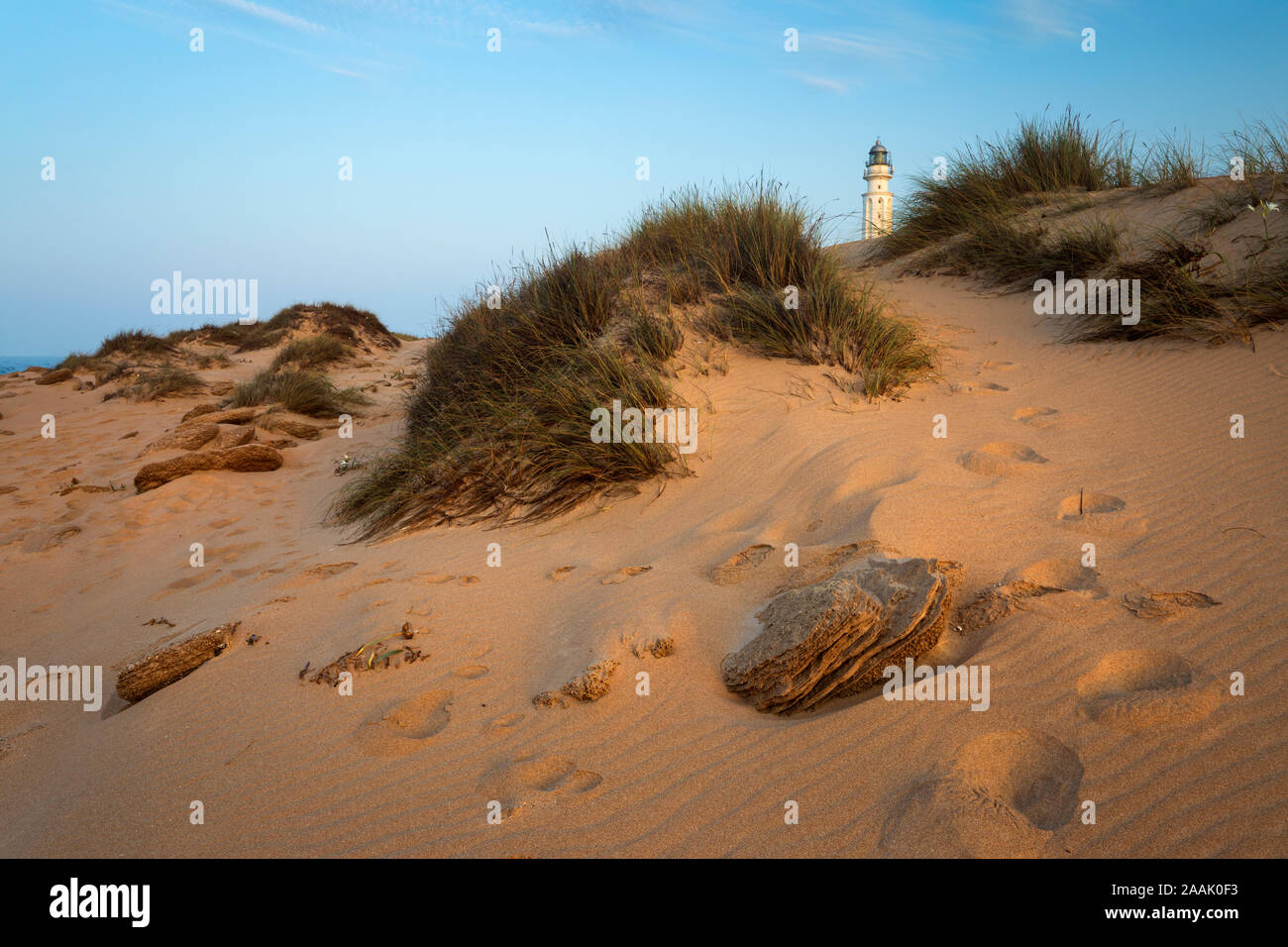 Capo Trafalgar faro tra le dune di sabbia a Caños de Meca, Costa de la Luz, la provincia di Cadiz Cadice, Andalusia, Spagna, Europa Foto Stock