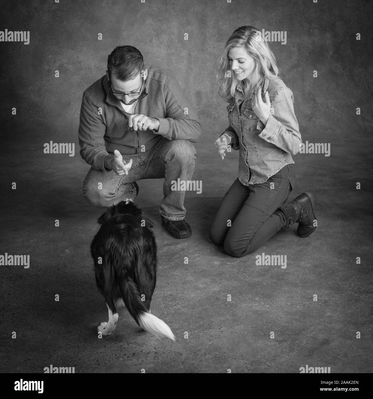 Studio Ritratto di giovane con Border Collie Mix Foto Stock