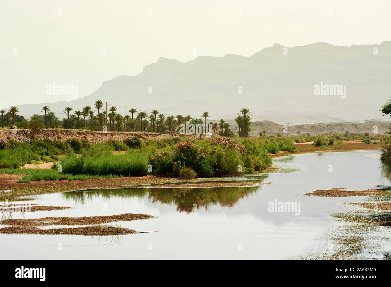 Draa fiume nel sud del Marocco. Foto Stock
