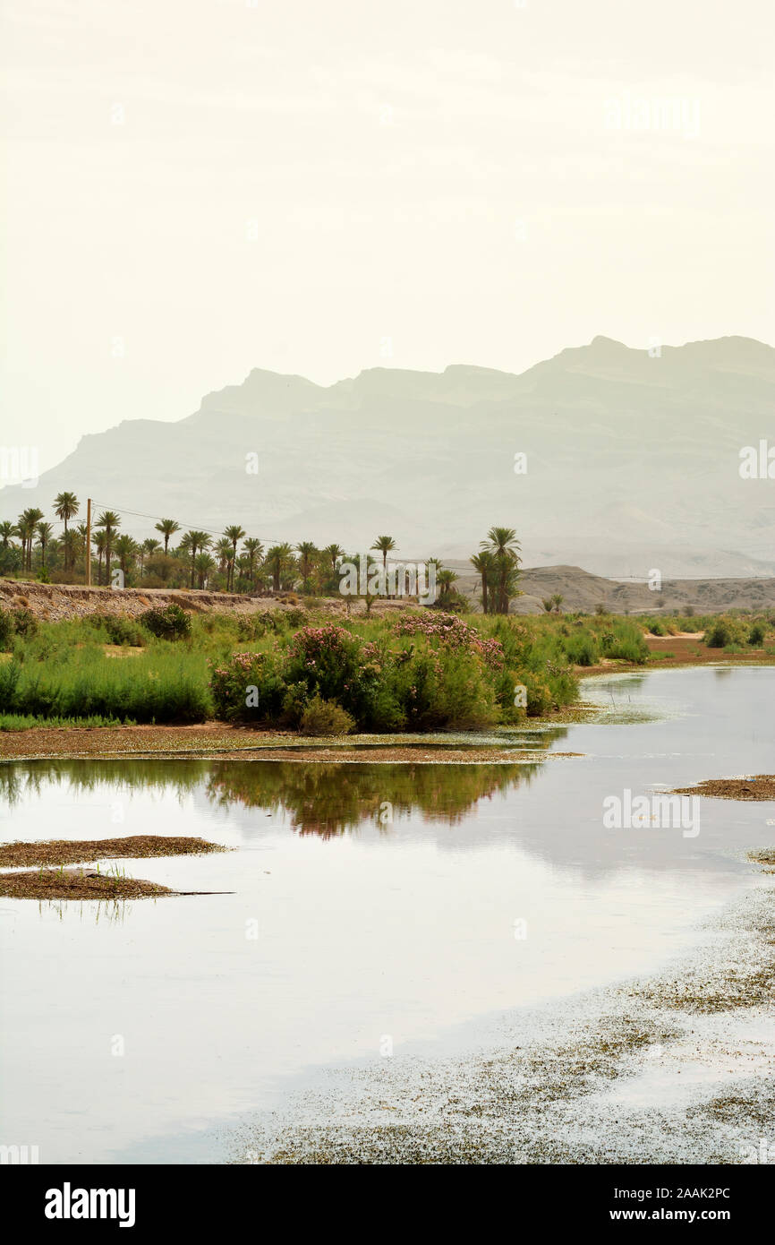 Draa fiume nel sud del Marocco. Foto Stock