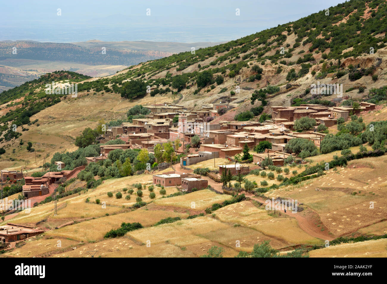 Un piccolo villaggio dai campi terrazzati, nell'Alto Atlante mountain range. Il Marocco Foto Stock