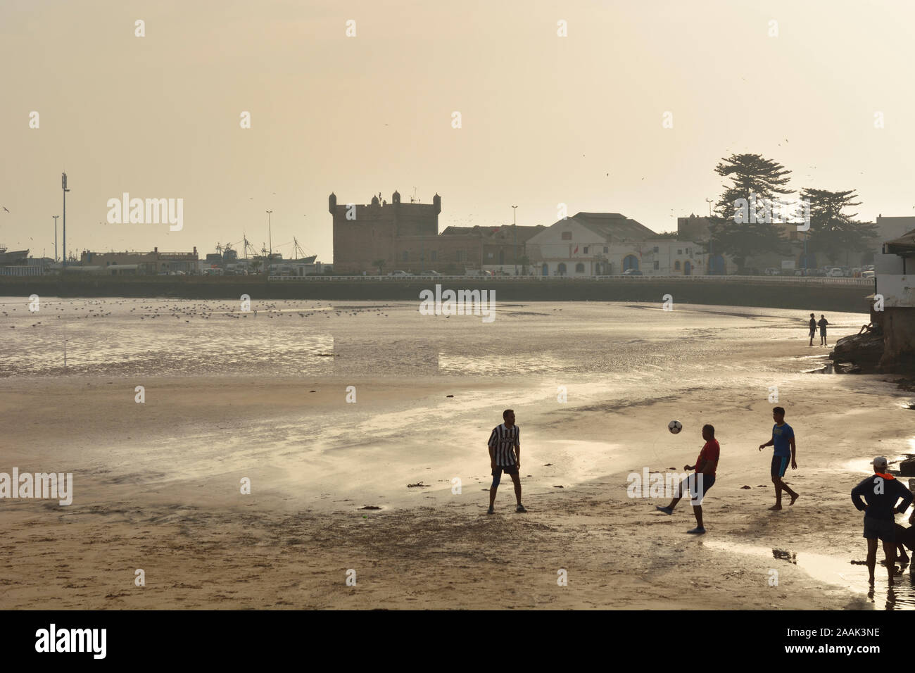 La spiaggia di fronte alla città murata di Essaouira, un sito Patrimonio Mondiale dell'Unesco. Il Marocco Foto Stock
