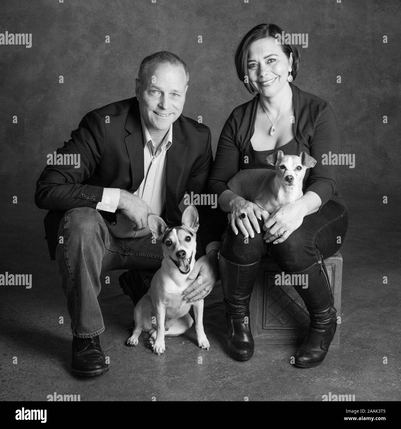 Ritratto in studio di un uomo e di una donna con Jack Russell Terrier e Chihuahua Foto Stock