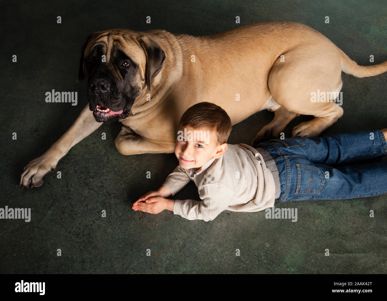 Angolo di Alta Vista del ragazzo e Mastiff Foto Stock