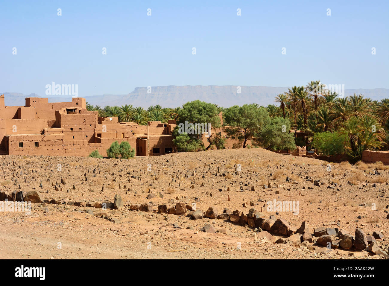 Un cimitero islamico nella valle del Draa. Il Marocco Foto Stock