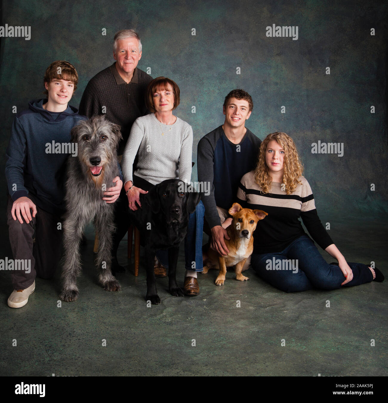 Studio ritratto di famiglia con tre cani Foto Stock