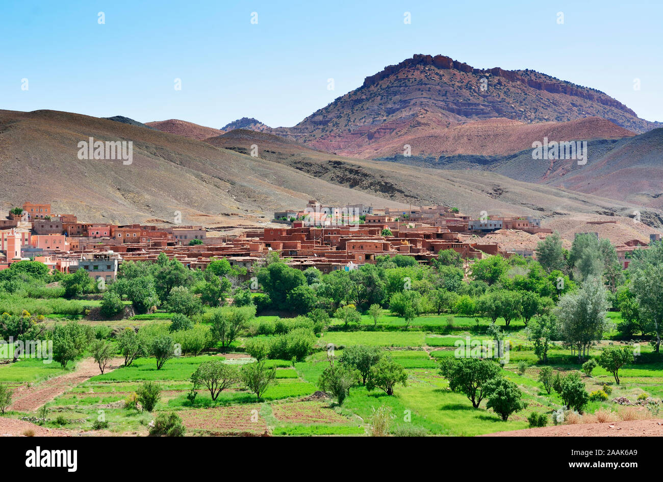 Un piccolo villaggio dai campi terrazzati, nell'Alto Atlante mountain range. Il Marocco Foto Stock