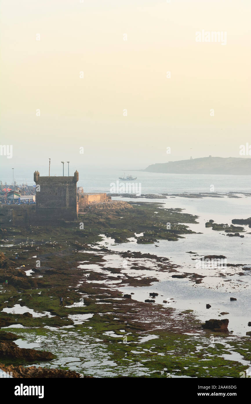 Il bastione meridionale, Skala du Port e isole Mogador, antica Iles Purpuraires davanti a Essaouira, dove i romani e i Fenici elaborato il m Foto Stock