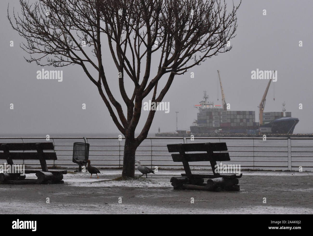 Paesaggio Innevato in Ushuaia Foto Stock