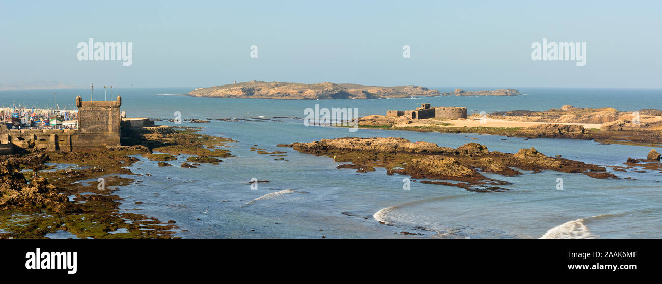 Isole di Mogador, antica Iles Purpuraires davanti a Essaouira, dove i romani e i Fenici elaborato il murex e porpora gusci trovati nella Foto Stock