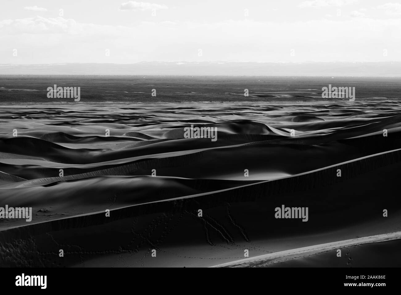 Dune di sabbia grandi monocromatiche Foto Stock